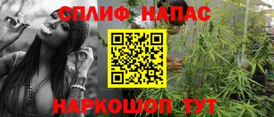 стафф Гудермес