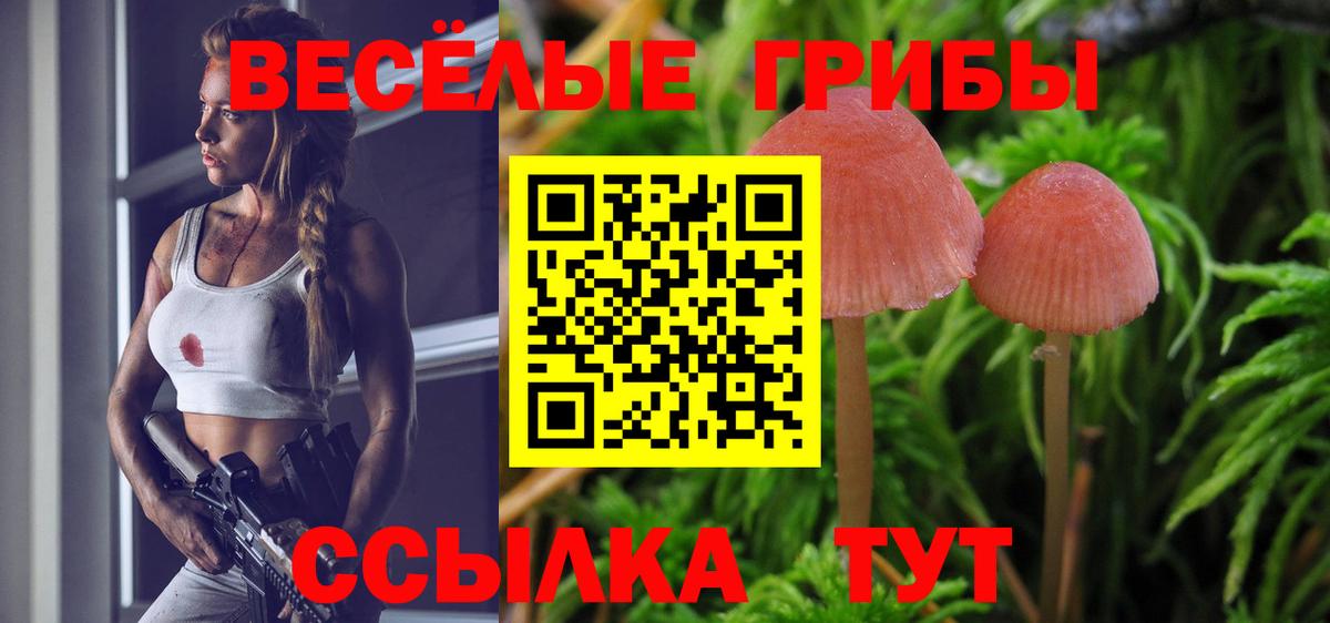 Псилоцибиновые грибы Cubensis  Вход с VPN  Нарткала 